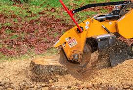 Best Emergency Tree Removal  in Ambler, PA